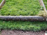 image of grave number 224843